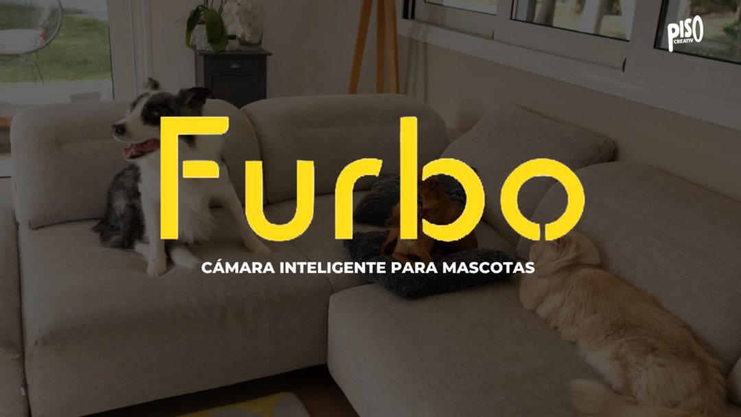 Furbo