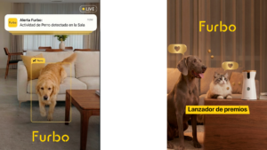 furbo 6